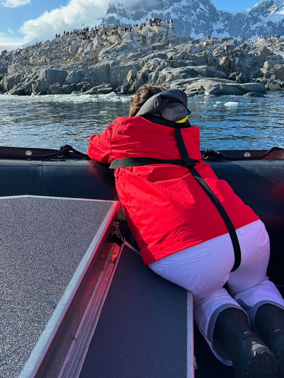 Jennifer leaning over the edge of a Zodiac near penguins