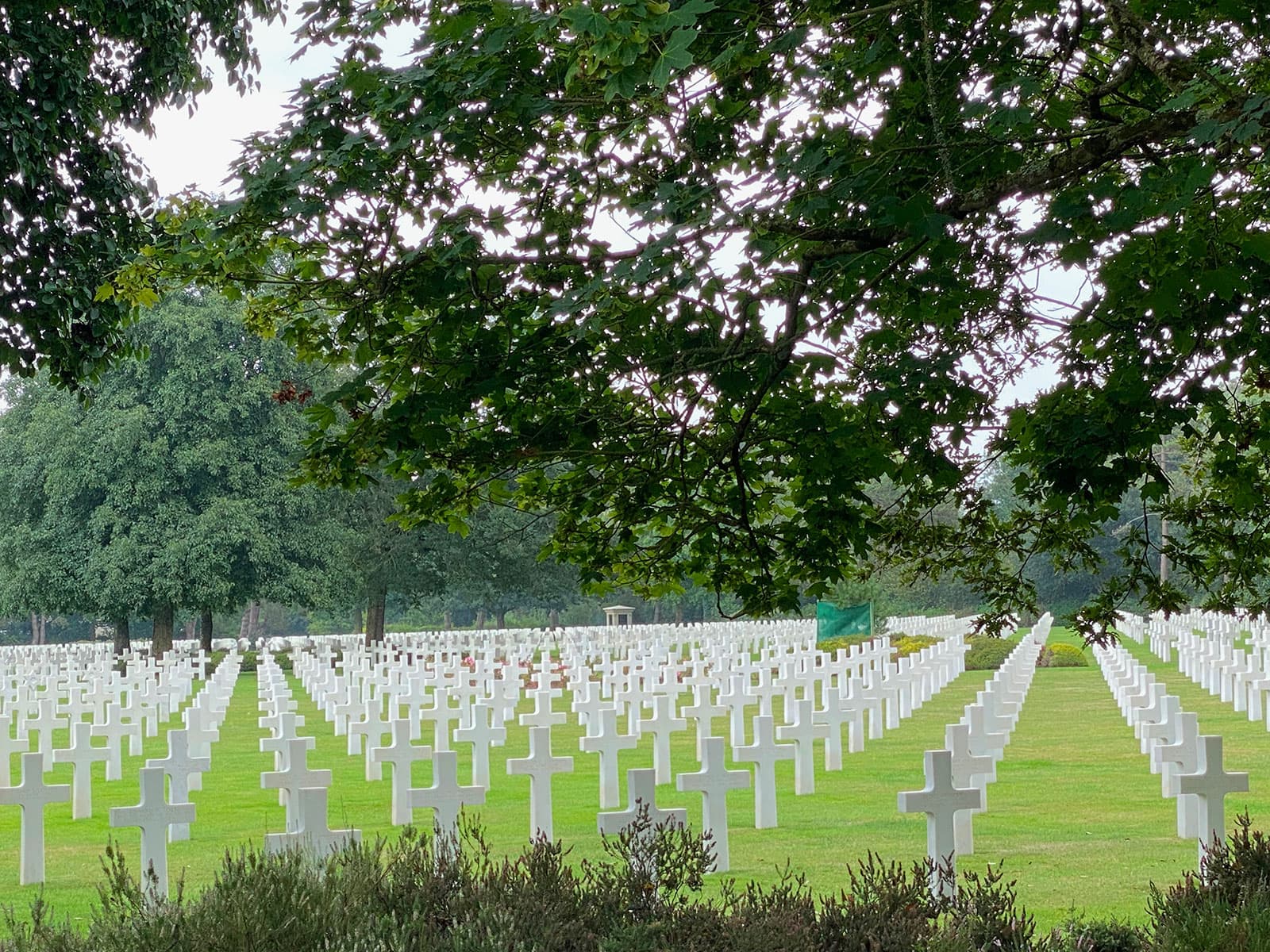 Rows of white grave markers beneath trees in Normandy