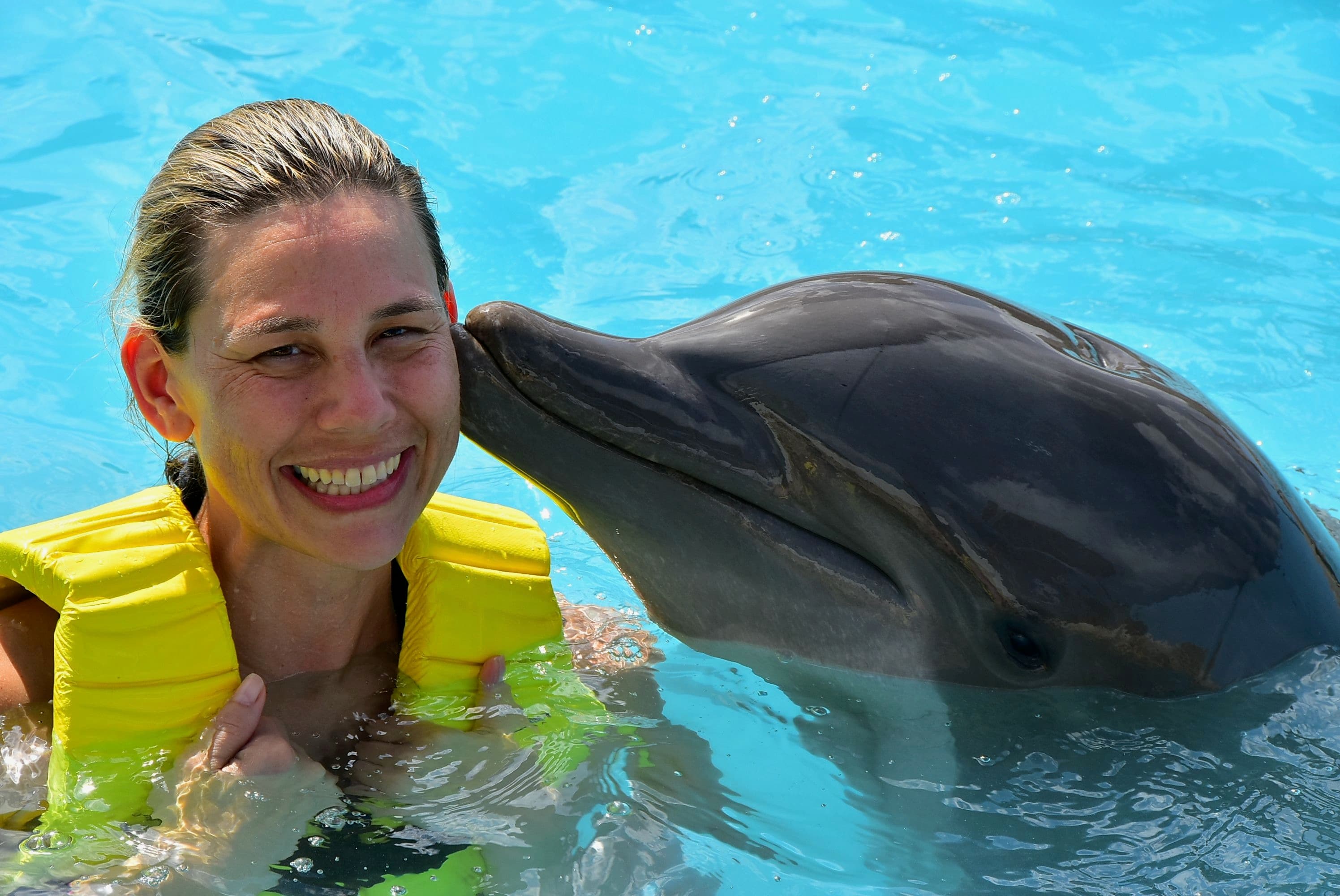 Jennifer in the water during a managed bottlenose dolphin encounter