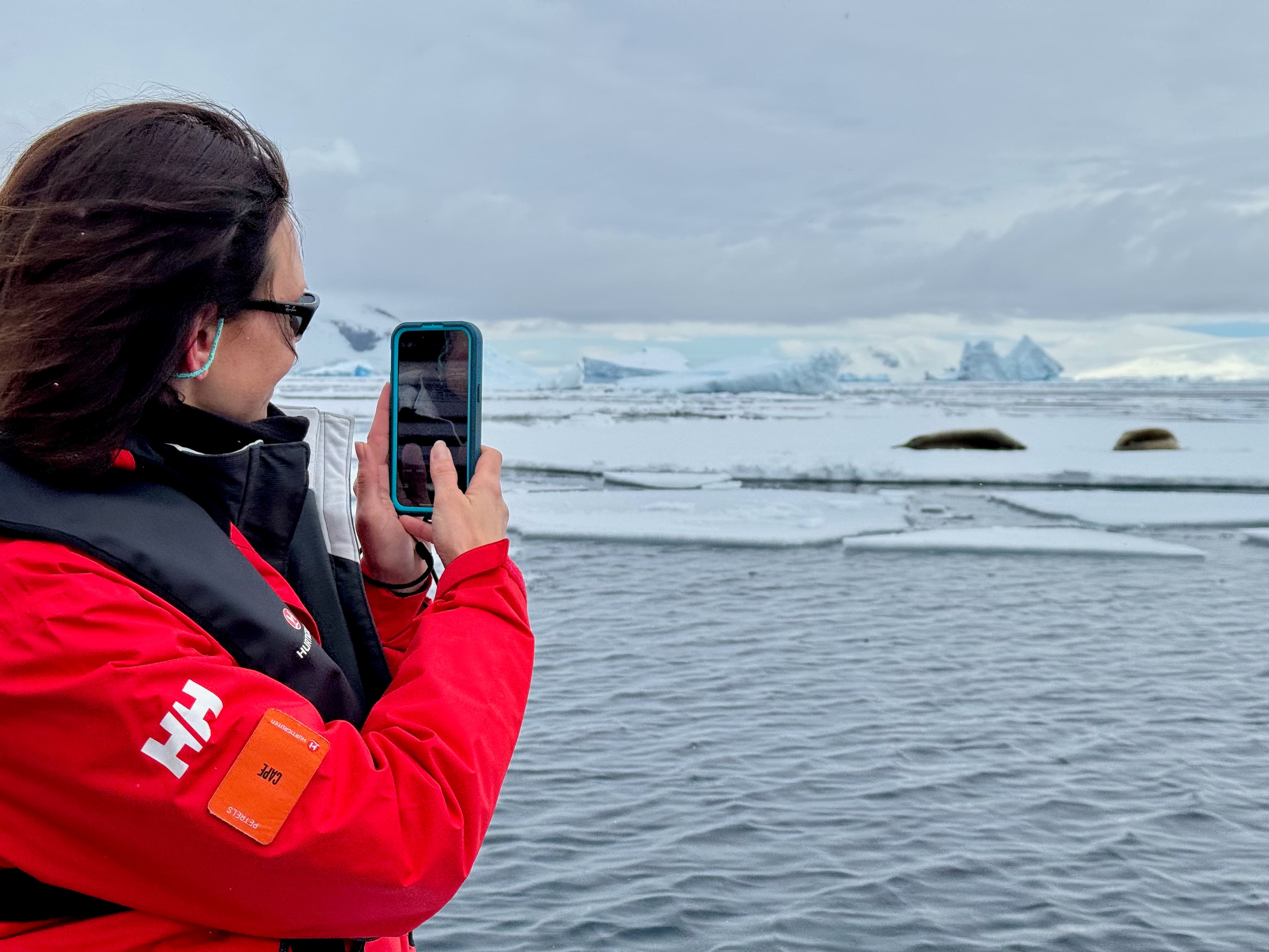Seals observed during an Antarctic Peninsula expedition